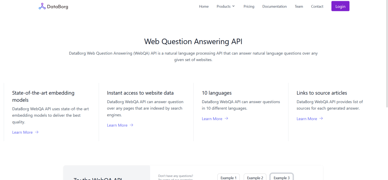 Herramienta IA Databorg.AI