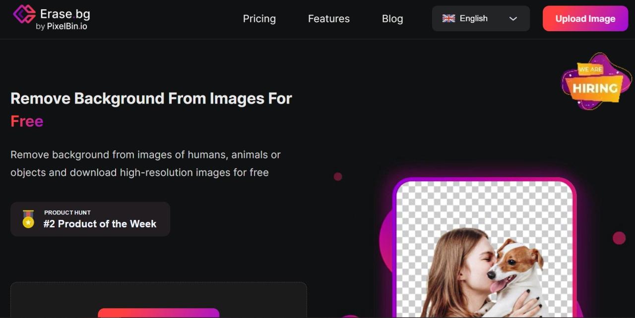 Herramienta IA Erase Bg