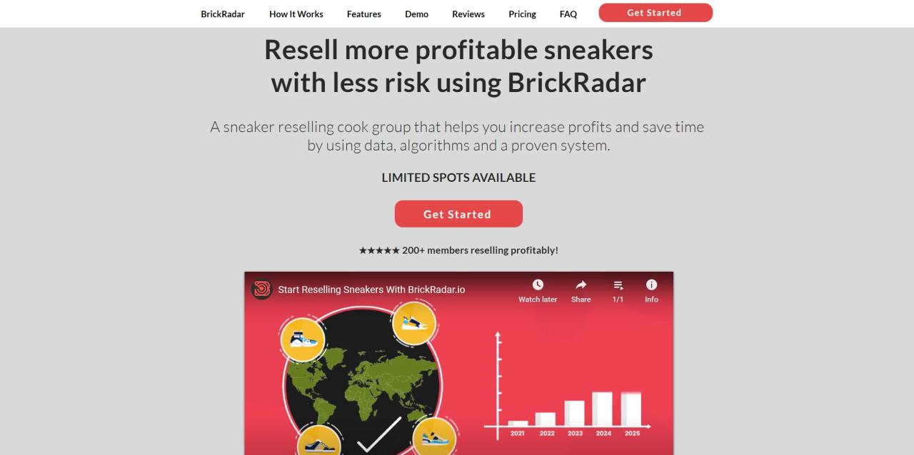 Herramienta IA Brickradar